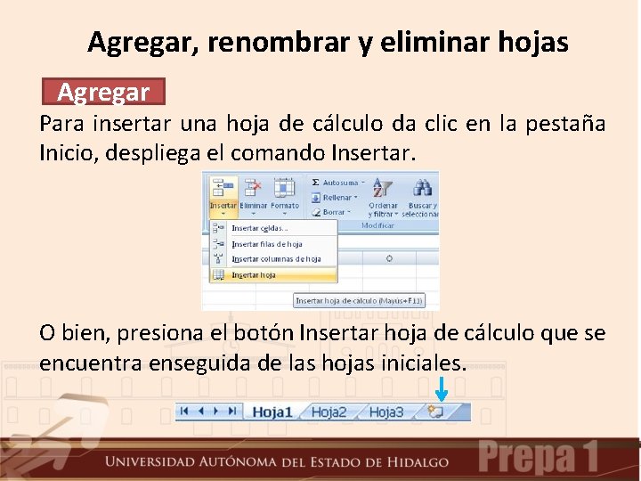 Agregar, renombrar y eliminar hojas Agregar Para insertar una hoja de cálculo da clic