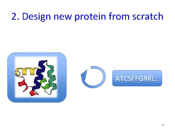 2. Design new protein from scratch ATCSFFGRKL. . 20 