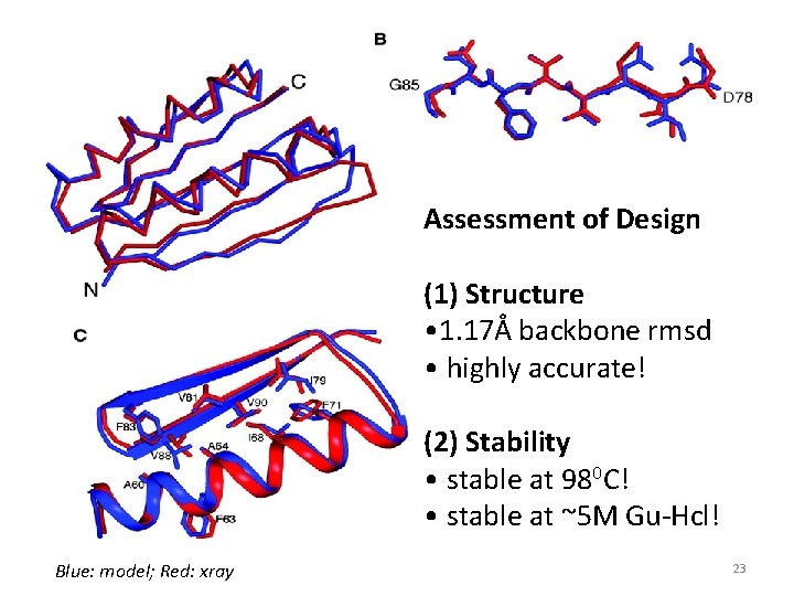 Assessment of Design (1) Structure • 1. 17Å backbone rmsd • highly accurate! (2)