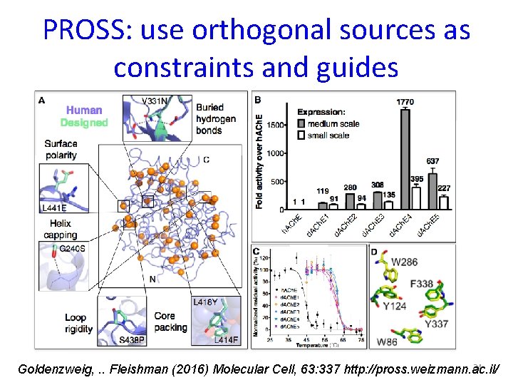 PROSS: use orthogonal sources as constraints and guides 34 Goldenzweig, . . Fleishman (2016)