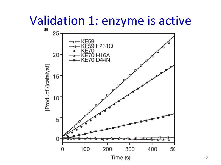 Validation 1: enzyme is active 40 