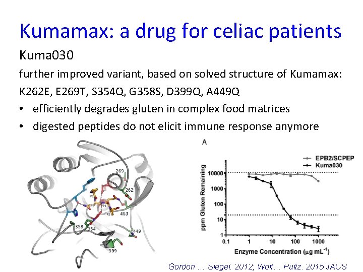 Kumamax: a drug for celiac patients Kuma 030 further improved variant, based on solved