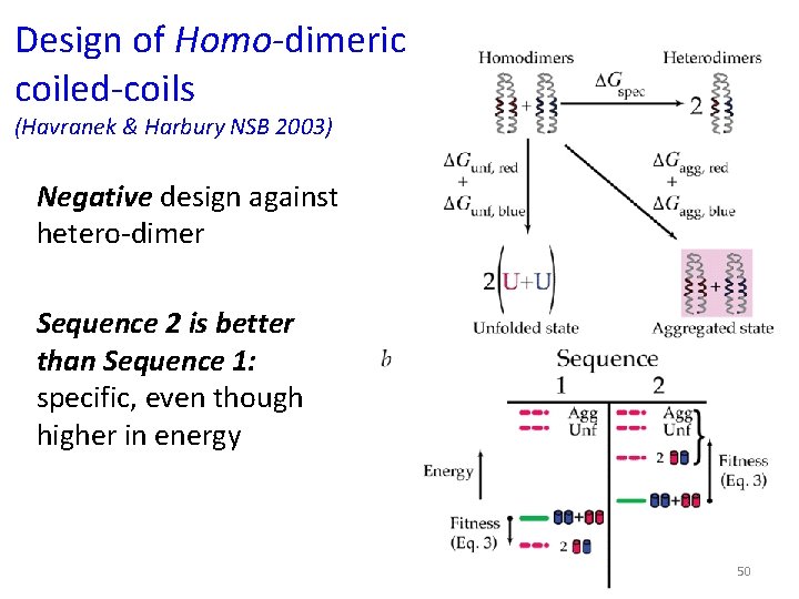 Design of Homo-dimeric coiled-coils (Havranek & Harbury NSB 2003) Negative design against hetero-dimer Sequence