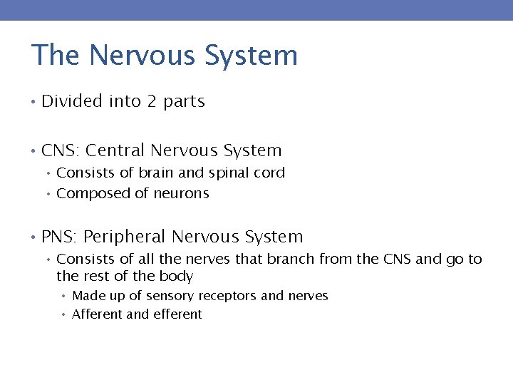 The Nervous System • Divided into 2 parts • CNS: Central Nervous System •