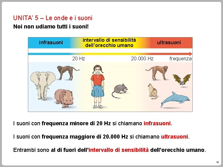 UNITA’ 5 – Le onde e i suoni Noi non udiamo tutti i suoni!