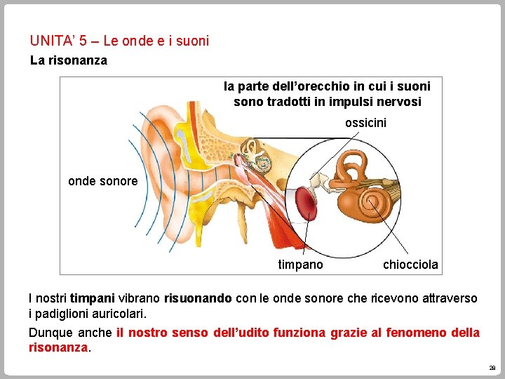 UNITA’ 5 – Le onde e i suoni La risonanza la parte dell’orecchio in