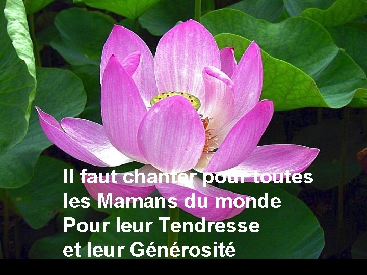 Il faut chanter pour toutes les Mamans du monde Pour leur Tendresse et leur