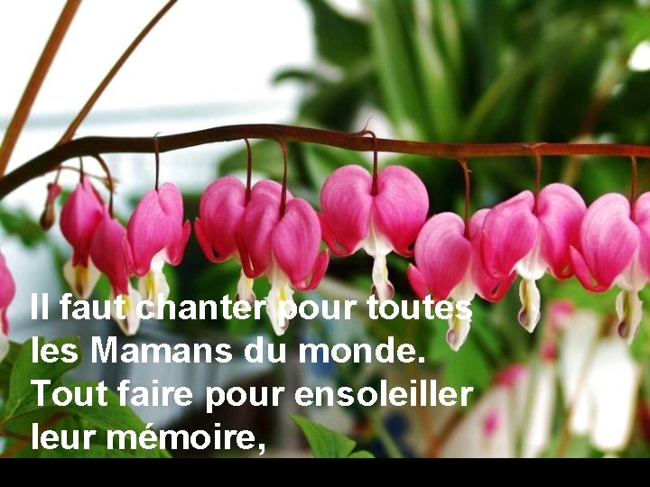 Il faut chanter pour toutes les Mamans du monde. Tout faire pour ensoleiller leur