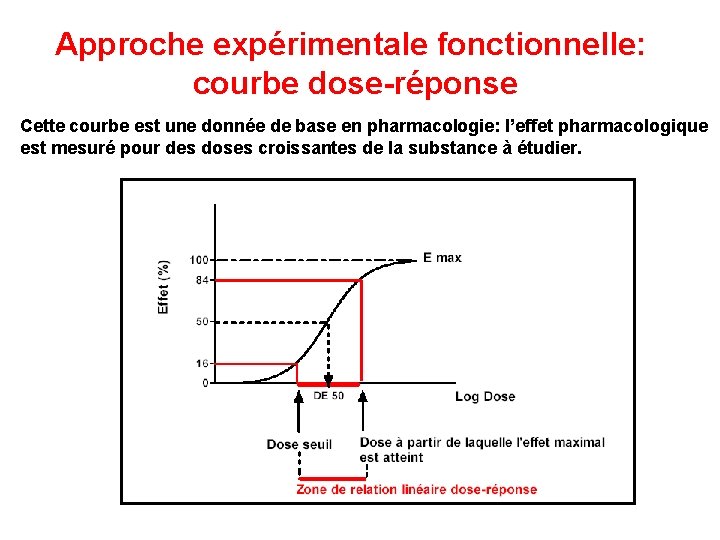Approche expérimentale fonctionnelle: courbe dose-réponse Cette courbe est une donnée de base en pharmacologie: