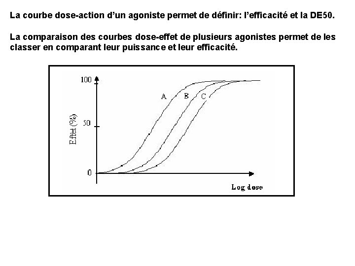 La courbe dose-action d’un agoniste permet de définir: l’efficacité et la DE 50. La