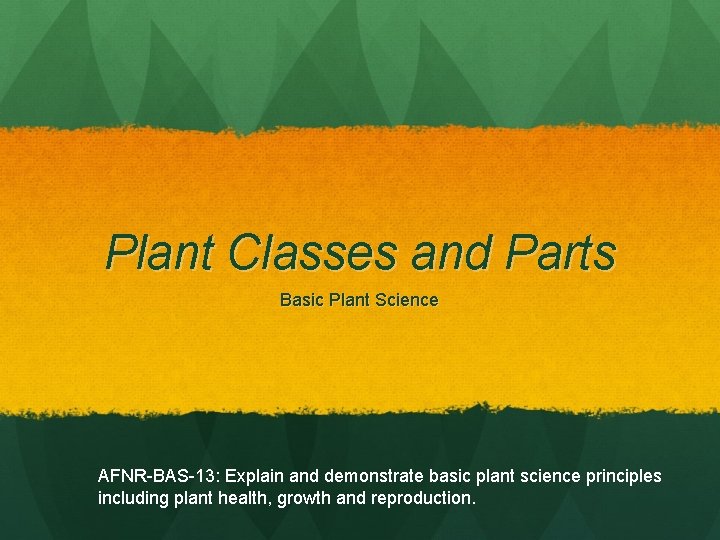 Plant Classes and Parts Basic Plant Science AFNR-BAS-13: Explain and demonstrate basic plant science