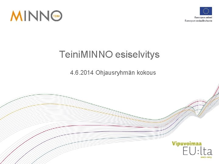 Teini. MINNO esiselvitys 4. 6. 2014 Ohjausryhmän kokous 