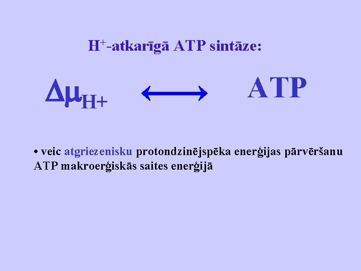 H+-atkarīgā ATP sintāze: H+ ATP • veic atgriezenisku protondzinējspēka enerģijas pārvēršanu ATP makroerģiskās saites