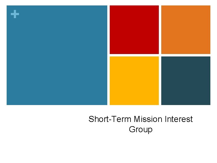 + Short-Term Mission Interest Group 