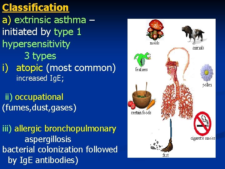 Classification a) extrinsic asthma – initiated by type 1 hypersensitivity 3 types i) atopic