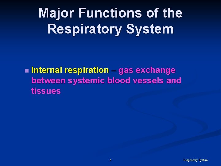 Major Functions of the Respiratory System n Internal respiration – gas exchange between systemic