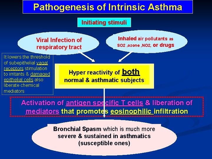 Pathogenesis of Intrinsic Asthma Initiating stimuli Viral Infection of respiratory tract It lowers the