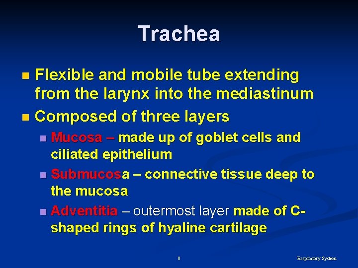 Trachea Flexible and mobile tube extending from the larynx into the mediastinum n Composed