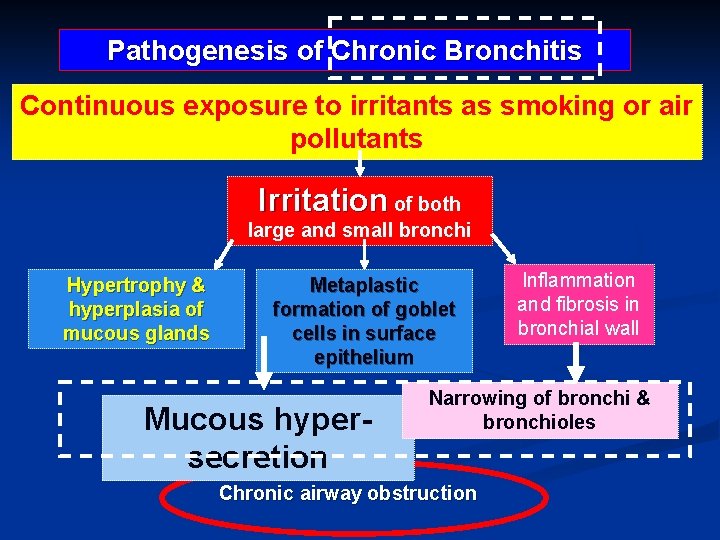 Pathogenesis of Chronic Bronchitis Continuous exposure to irritants as smoking or air pollutants Irritation