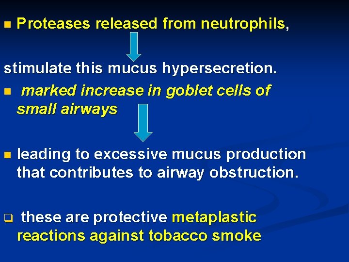 n Proteases released from neutrophils, stimulate this mucus hypersecretion. n marked increase in goblet