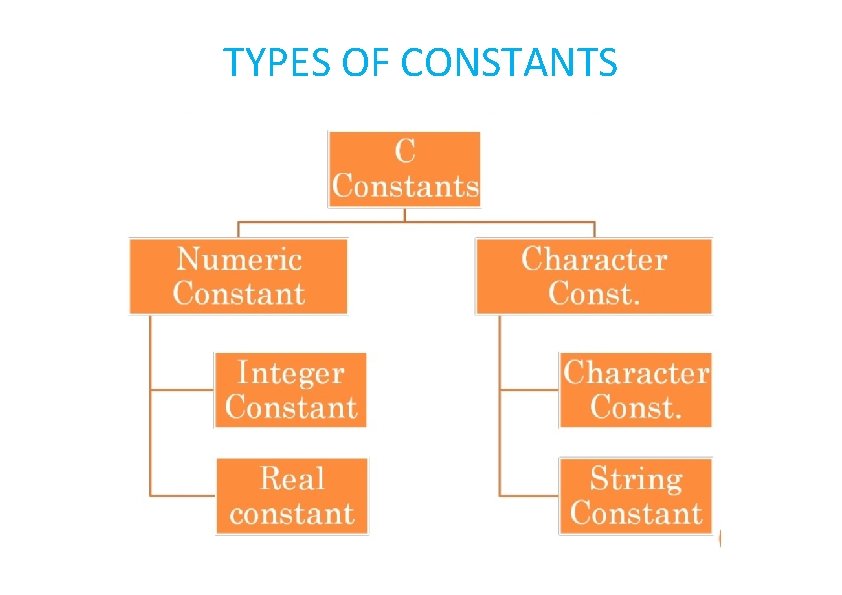 TYPES OF CONSTANTS 