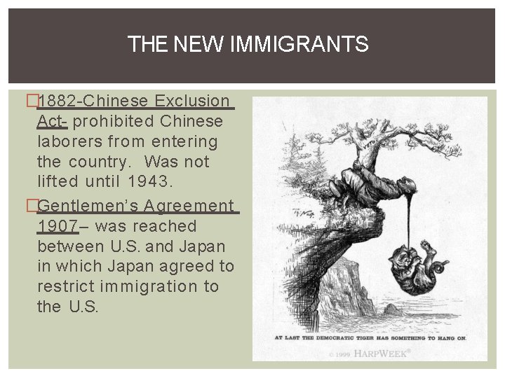 THE NEW IMMIGRANTS � 1882 -Chinese Exclusion Act- prohibited Chinese laborers from entering the