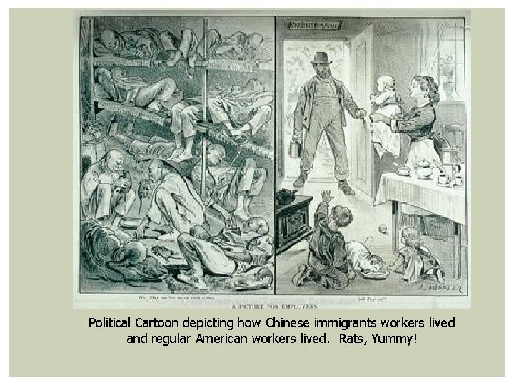 Political Cartoon depicting how Chinese immigrants workers lived and regular American workers lived. Rats,