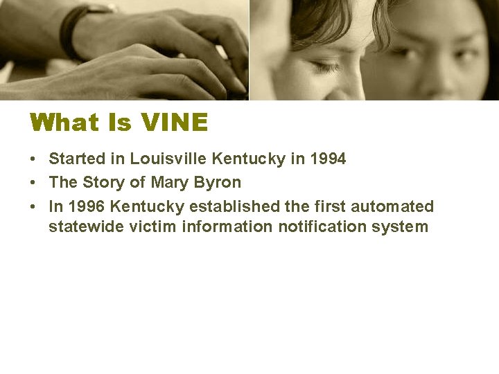 What Is VINE • Started in Louisville Kentucky in 1994 • The Story of