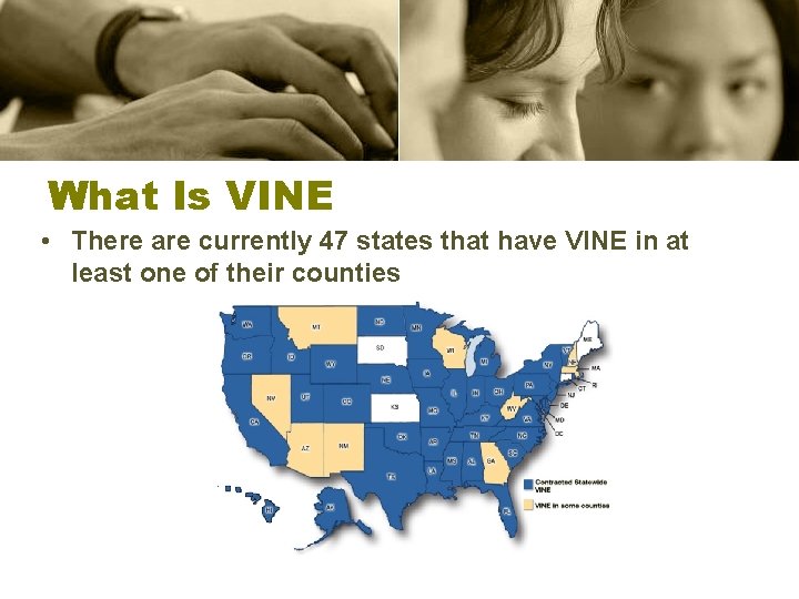 What Is VINE • There are currently 47 states that have VINE in at