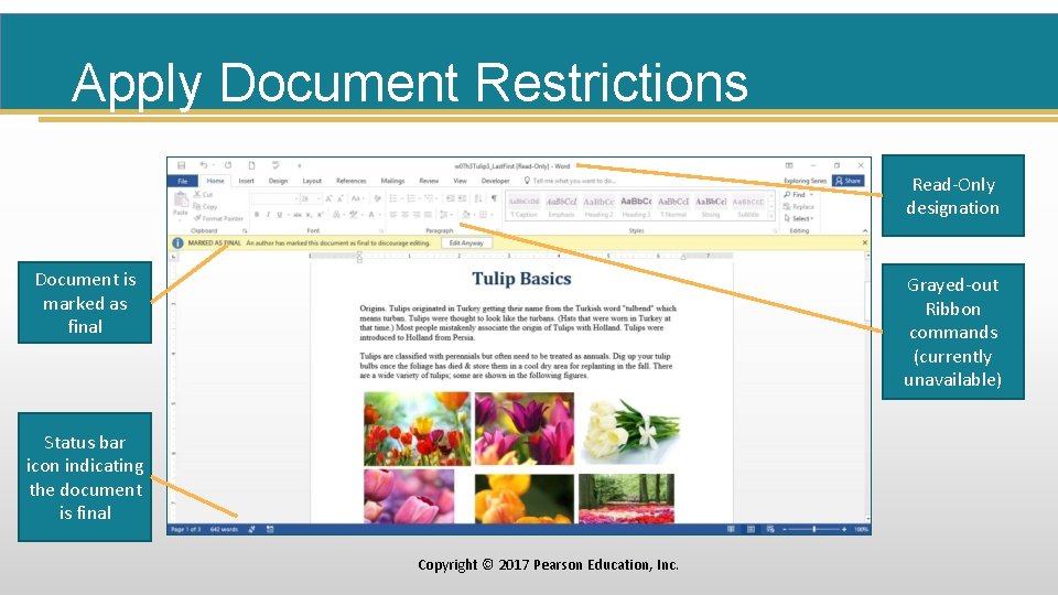 Apply Document Restrictions Read-Only designation Document is marked as final Grayed-out Ribbon commands (currently