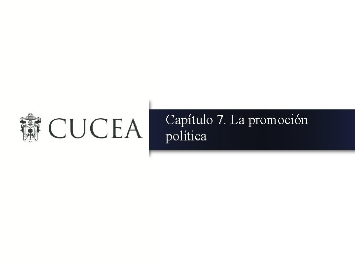 Capítulo 7. La promoción política 