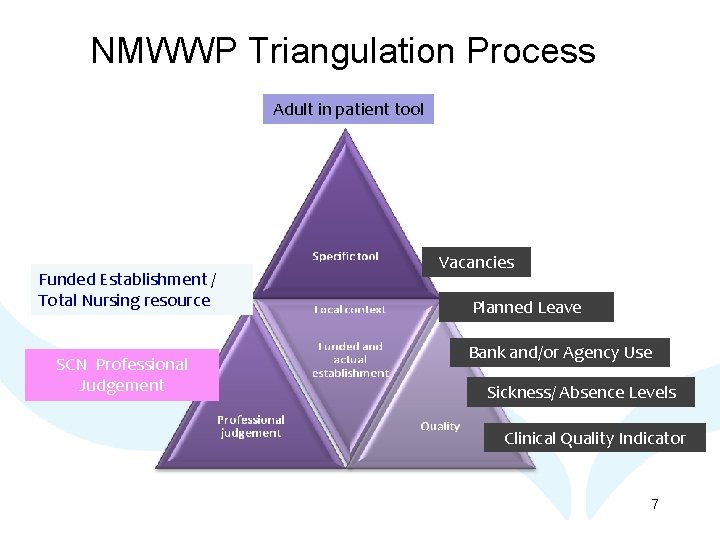 NMWWP Triangulation Process Adult in patient tool Funded Establishment / Total Nursing resource SCN