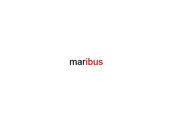 maribus 