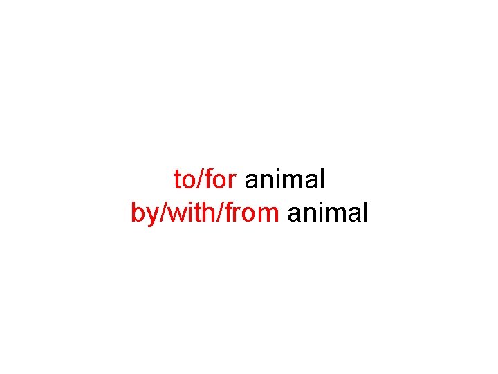 to/for animal by/with/from animal 