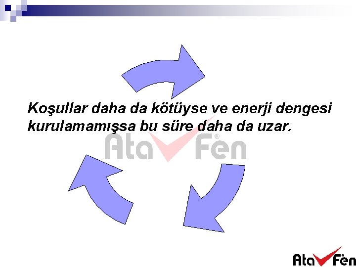 Koşullar daha da kötüyse ve enerji dengesi kurulamamışsa bu süre daha da uzar. 