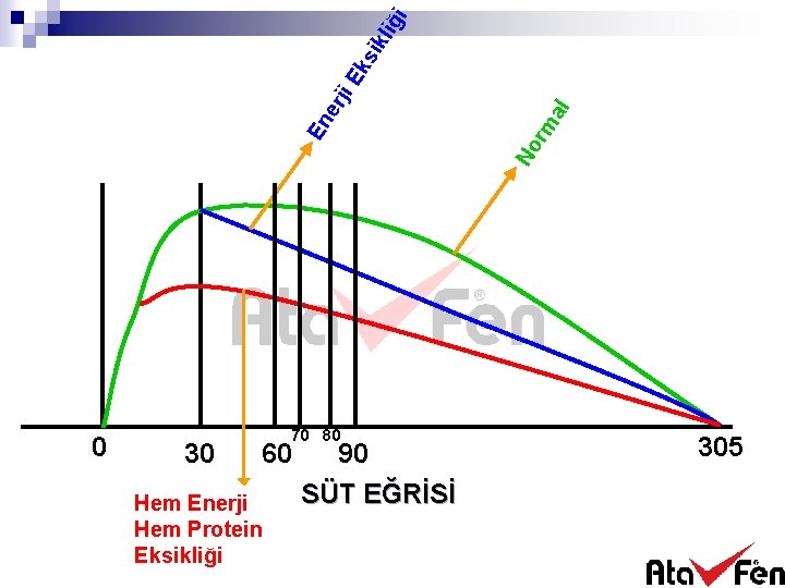 liğ i ks ik 30 60 Hem Enerji Hem Protein Eksikliği 70 80 90