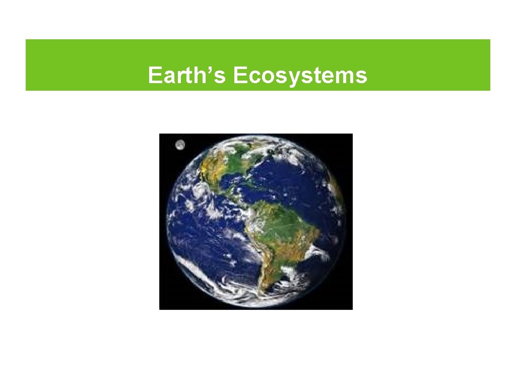 Earth’s Ecosystems 