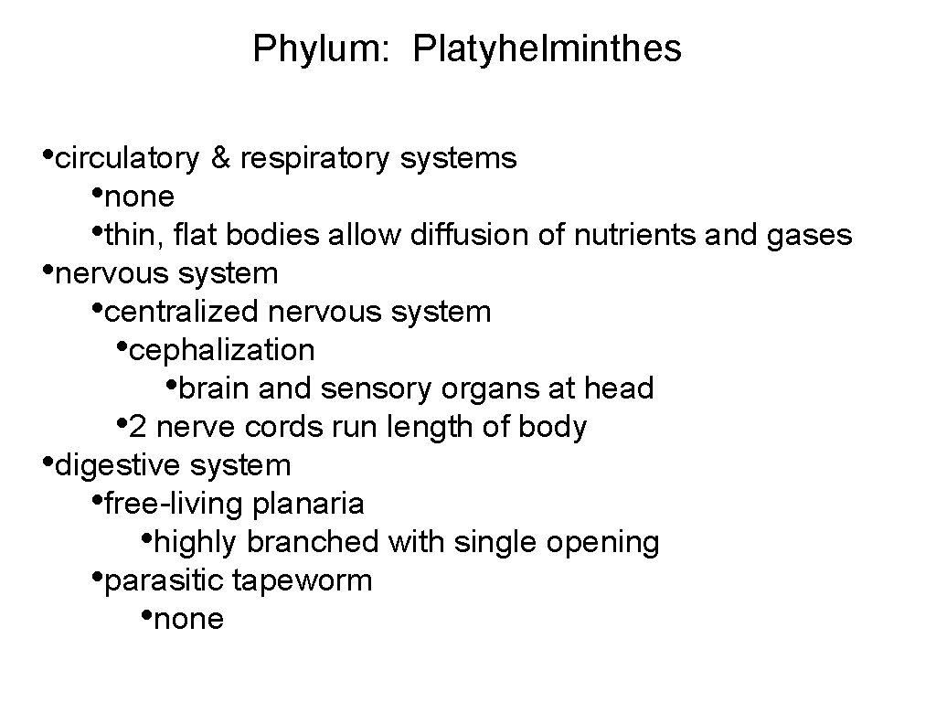 Radiata Metazoa Ancestral colonial flagellate Deuterostomia Eumetazoa ...