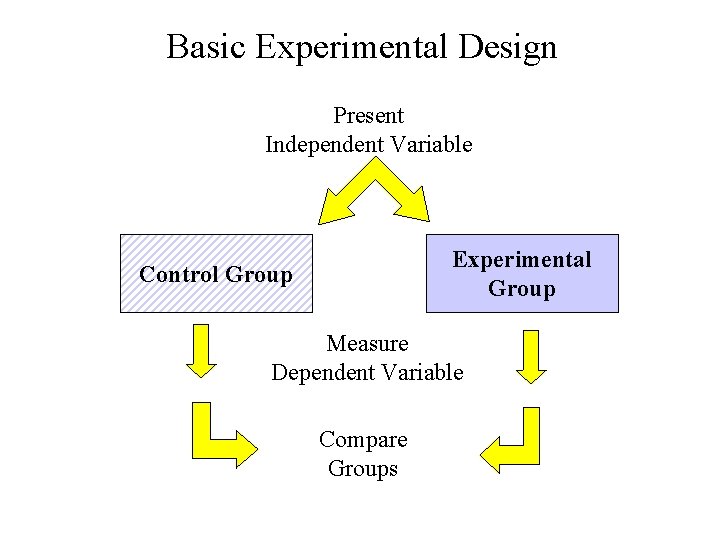 Basic Experimental Design Present Independent Variable Experimental Group Control Group Measure Dependent Variable Compare