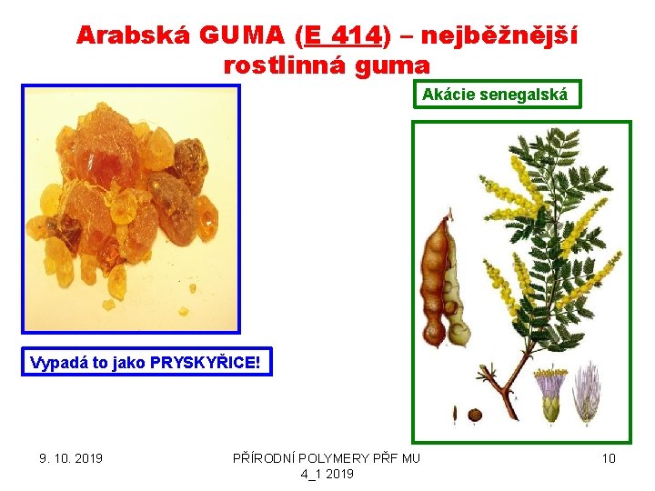 Arabská GUMA (E 414) – nejběžnější rostlinná guma Akácie senegalská Vypadá to jako PRYSKYŘICE!