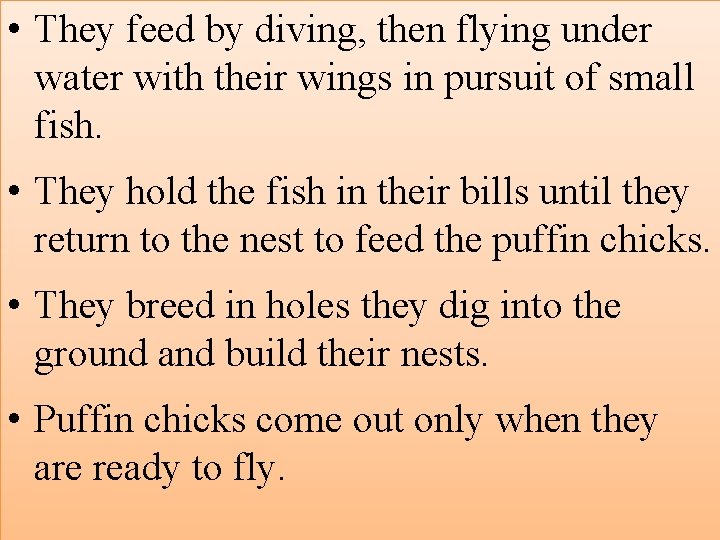  • They feed by diving, then flying under water with their wings in