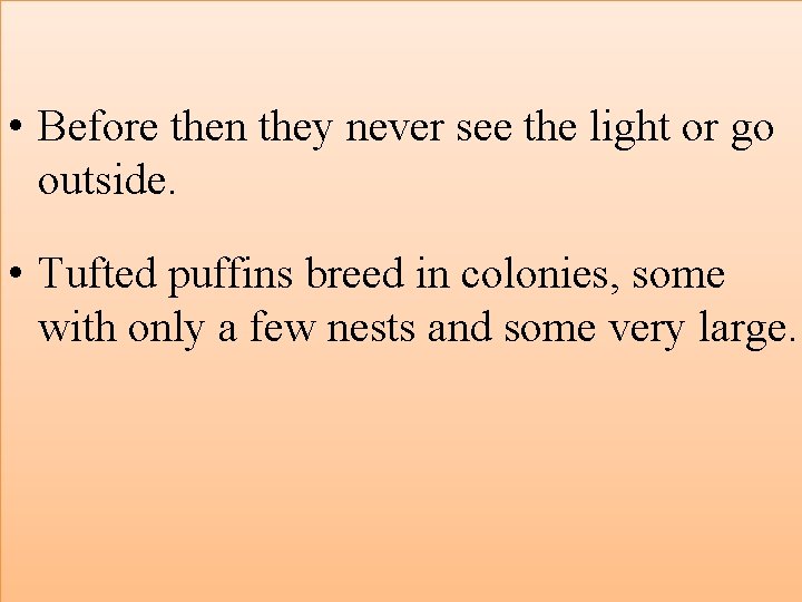  • Before then they never see the light or go outside. • Tufted