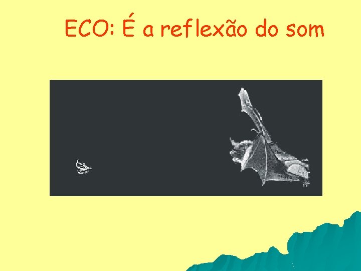 ECO: É a reflexão do som 