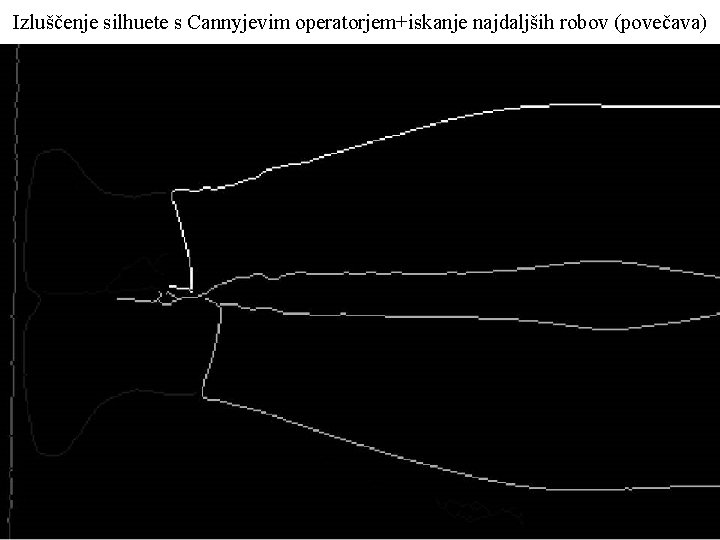 Izluščenje silhuete s Cannyjevim operatorjem+iskanje najdaljših robov (povečava) 