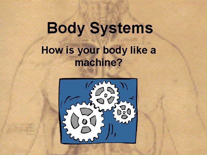 Body Systems How is your body like a machine? 