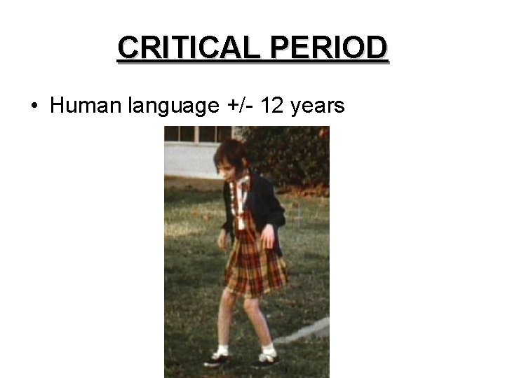 CRITICAL PERIOD • Human language +/- 12 years 