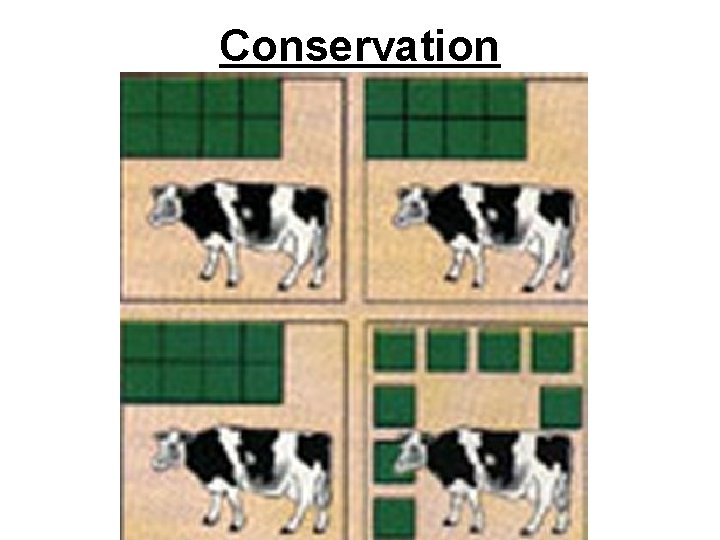 Conservation 