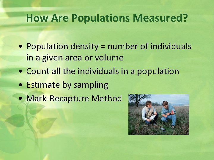 How Are Populations Measured? • Population density = number of individuals in a given