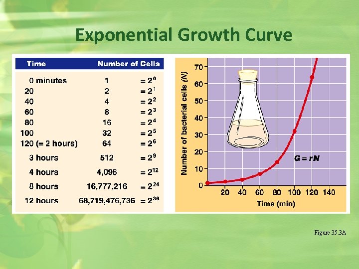 Exponential Growth Curve Figure 35. 3 A 