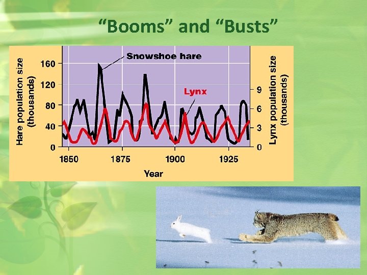 “Booms” and “Busts” 